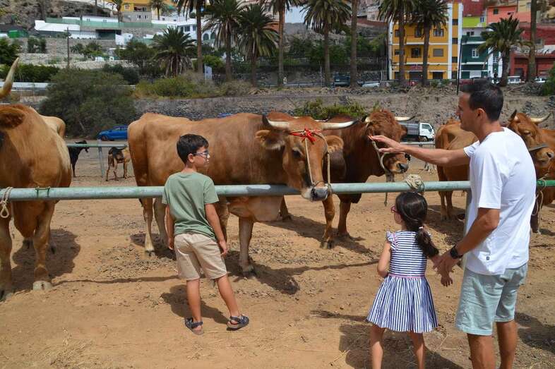 Imagen de archivo de la Feria de Ganado de las Fiestas de San Juan de este año/TA.